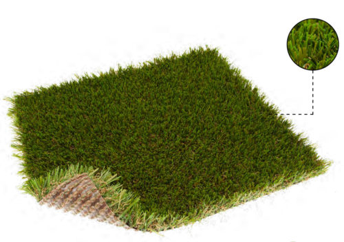 TURFGRASS_TDS_2022_DIVINO-35