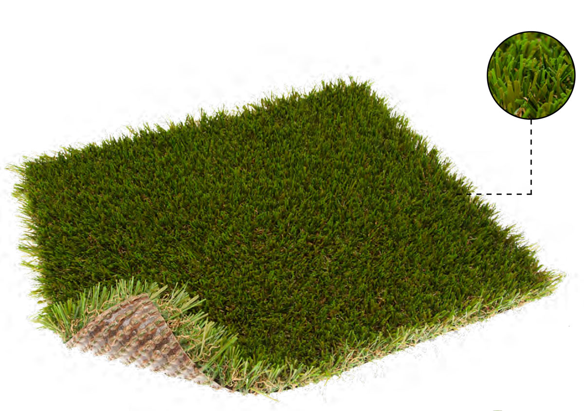 TURFGRASS_TDS_2022_DIVINO-35