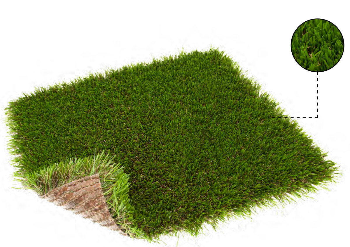 TURFGRASS_EUPHORIA