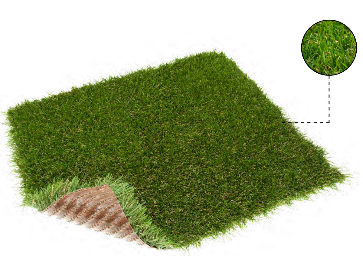 TURFGRASS_GALATEA