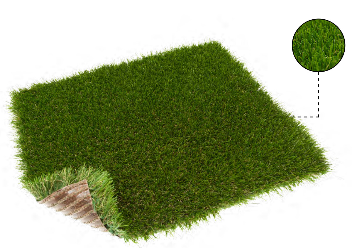 TURFGRASS_TAIGA